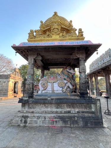 Nandi-at-Ekambareshwar